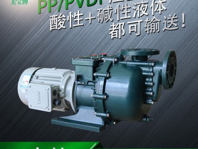 美宝MA-40012 PVDF防腐蚀防爆自吸泵  耐腐蚀塑料自吸水泵图1