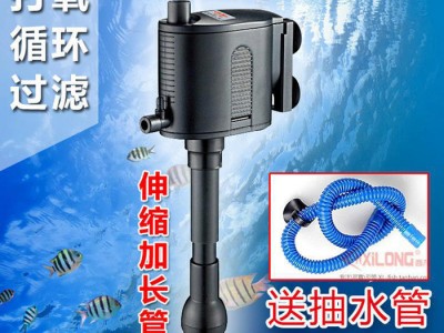 西龙水泵顶部出水三合一抽水泵潜水泵多功能高扬程循环过滤增氧泵图1