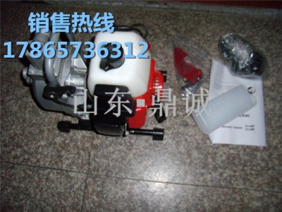 山东鼎诚标准 汽油机水泵图1