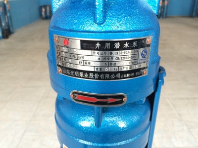 **150qj井用潜水泵。深井泵、高扬程潜水泵