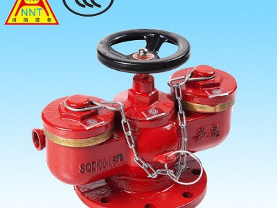 安耐特消防 兴龙水泵接合器 多功能接合器SQD100 直销图1
