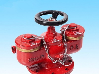 安耐特消防 兴龙水泵接合器 多功能接合器SQD100  直销图1