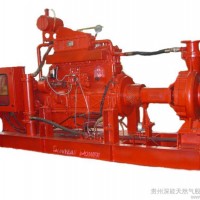 供应贵柴——天力75GF水泵发电机组