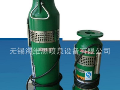 直销喷泉设备 喷泉专用潜水泵  LED水下彩灯喷泉泵图1