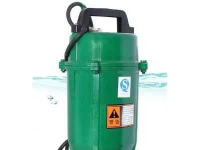 潜水泵污水泵排污泵清水泵2.2KW家用排水泵全铜线农用抽水机图1