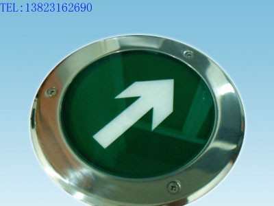 供应ZS-BLZC-1LE I 2W-I206自带电源集中控制型消防应急标志灯具图1