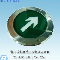 供应ZS-BLZC-1LE I 2W-I206自带电源集中控制型消防应急标志灯具