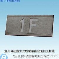 TH-BLJC-1OEI2W-DBLL1-352集中电源集中控制型消防应急标志灯具