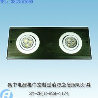 供应SY-ZFJC-E2W-1174集中电源集中控制型消防应急照明灯具