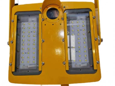 LED防爆灯具30w50w冷库加油站灯100w室内室外照明应急灯具150W IP65