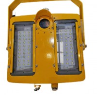 LED防爆灯具30w50w冷库加油站灯100w室内室外照明应急灯具150W IP65