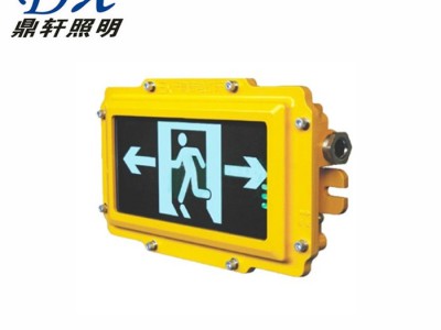 鼎轩照明防爆消防应急标志灯具 OK-BLZD-1LROE I 5W8402 D 电厂廊道走道