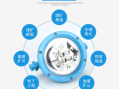三乐照明DGS48/127L(A) 煤矿井下照明图1