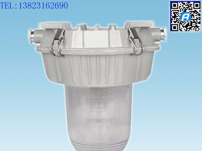 NFE9180防眩应急顶灯(固定式灯具)图1