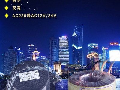 AE照明led交流变压器300W220 转12v/24v地埋灯水底灯户外灯具图1