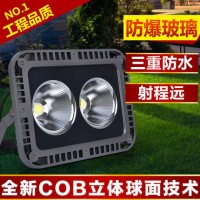 AE照明灯具COB投射灯聚光灯塔吊灯广场照明灯具泛光灯投光灯100W