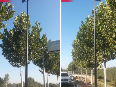 五莲路灯加工厂家 济南灯具施工工程图1