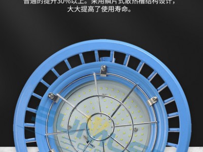 三乐照明DGS50/127L(A) 煤矿井下固定照明（隔爆型）图1