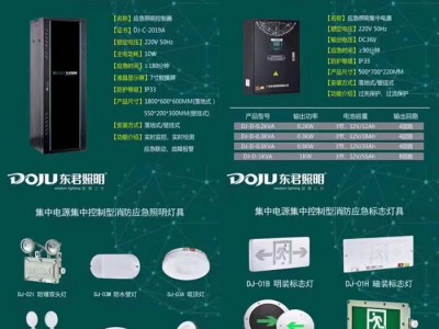 东君智能消防应急系统 集中电源集中控制 疏散指示灯具36V 东君照明 欢迎咨询