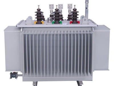 变压器厂家供应s20油浸式变压器 干式变压器 配电变压器 箱式变压器 多款型种类可选 支持定制