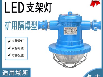 三乐照明锥形DGS18/127L矿用隔爆型LED巷道灯  防爆灯 巷道灯 防爆灯具 防爆灯具价格图1