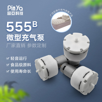PYP555微型真空泵 12V美容设备按摩仪迷你真空泵