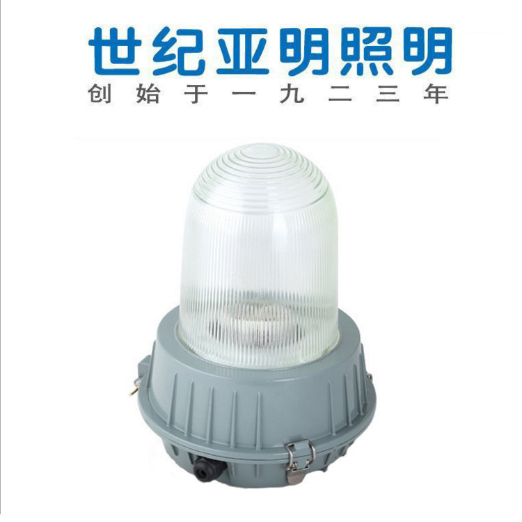 厂家供应 防眩灯NFC9180 70W/150W应急泛光灯