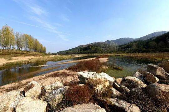 河南南阳桐柏县：以全域生态美扮靓淮河源头