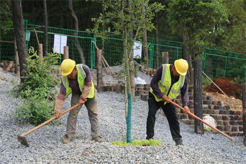 麒麟区：打造“畅洁绿美”环境 让城市更有品味