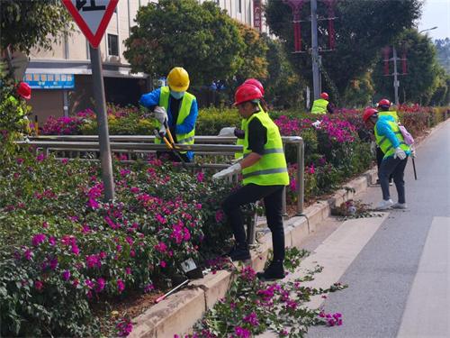 景谷傣族彝族自治县住建局多举措持续做好绿美城市、绿美社区建设工作