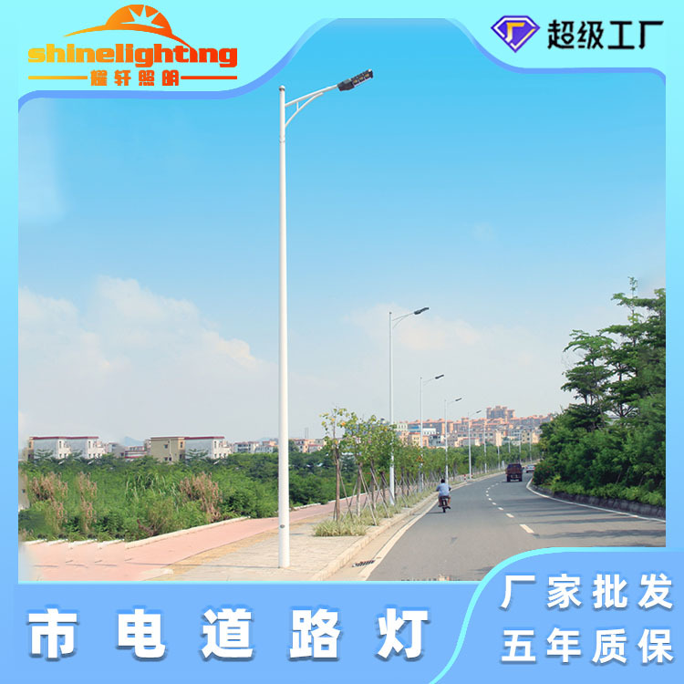 户外led路灯6米~12米市政道路灯单臂节能灯道路照明路灯