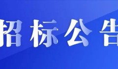 汉川市南河乡人民政府汉川市南河乡养老综合体项目竞争性磋商公告