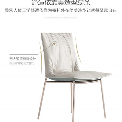 简约轻奢设计师餐桌椅家用北欧现代简约超纤饭桌椅子靠背休闲桌椅图1