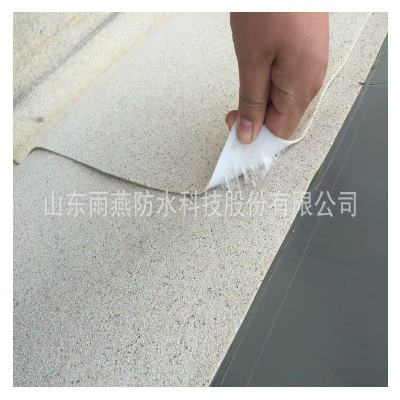 非沥青基防水卷材高分子胶面沙面防水卷材hdpe预铺防水材料厂家图3