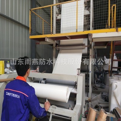 非沥青基防水卷材高分子胶面沙面防水卷材hdpe预铺防水材料厂家图4
