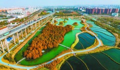 海绵城市：系统构建新时代雨洪管理体系