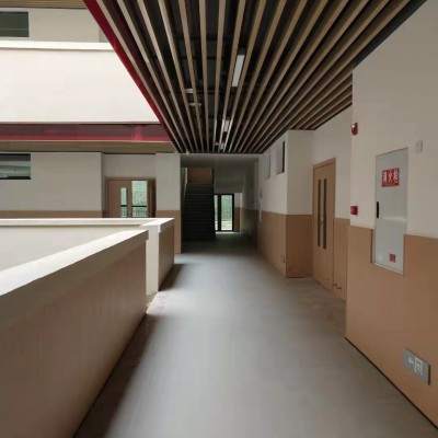 幼儿园塑料地板 PVC弹性地板 塑胶地板 学校用地板胶图2
