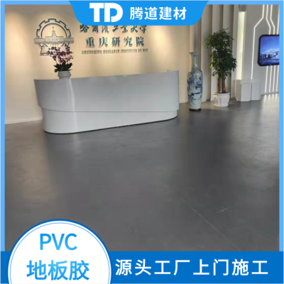 PVC地胶 展厅学校幼儿园 同质透心 走廊防滑耐磨地面