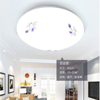 LED全白吸顶灯圆形面包灯工程款30cm走廊卧室客厅出租房过道顶灯图4