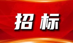 长春二热零星土建设施维修招标公告