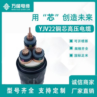 YJV120平方高压电缆 交联YJV22高压铝芯电缆 电线铠装电缆