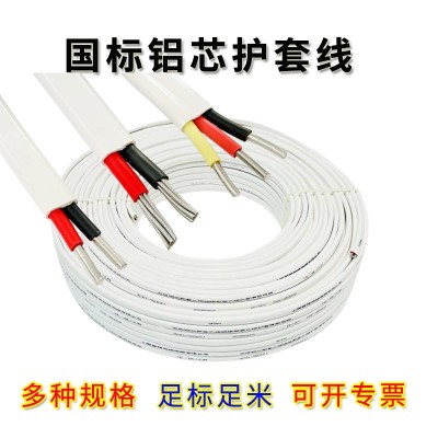国标两芯电缆线 铝芯户外电线BLVVB101635平方铝护套线 国标100米