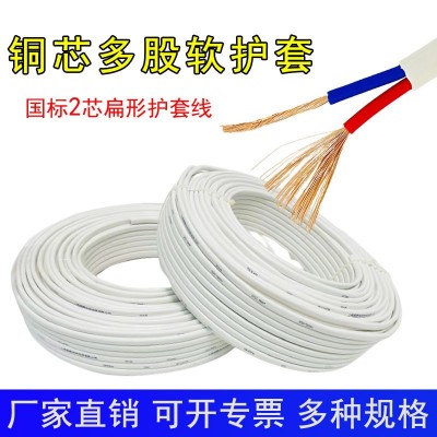 RVVB白色护套线扁型平行电线2芯1/1.5/2.5/4/6平方国标线缆电源线图1
