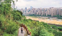 重庆今年计划建设30条山城步道