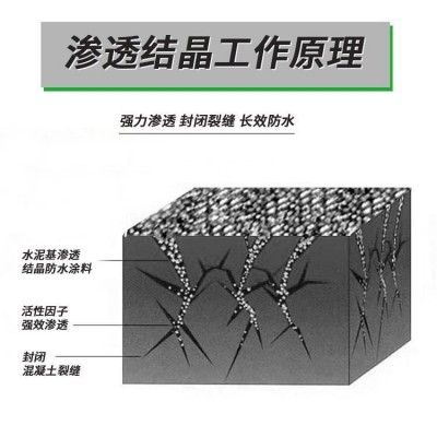 水泥基渗透结晶型防水涂料渗透结晶水池大坝隧道防水图3