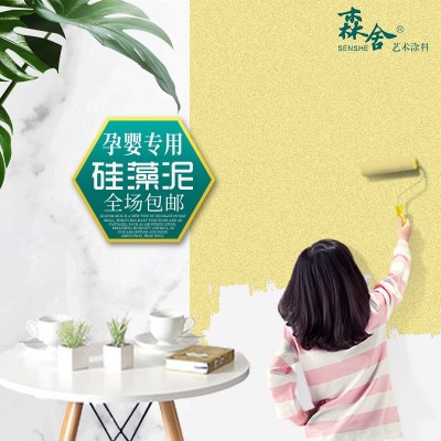 加工定制硅藻泥涂料 贝壳粉涂料墙面干粉硅藻泥涂料修补墙面漆图4