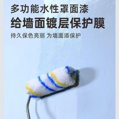 罩面漆透明水性光油哑光内墙乳胶漆墙面墙绘保护漆防水罩光漆图4