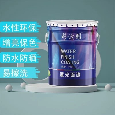 罩面漆透明水性光油哑光内墙乳胶漆墙面墙绘保护漆防水罩光漆图5