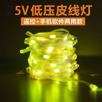 皮线灯圣诞灯串 声控串串灯 跨境USB幻彩RGB蓝牙APP氛围灯装饰灯图3