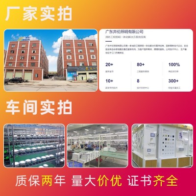 井伦消防应急灯不锈钢a型集中控制应急照明疏散led安全出口指示灯图5